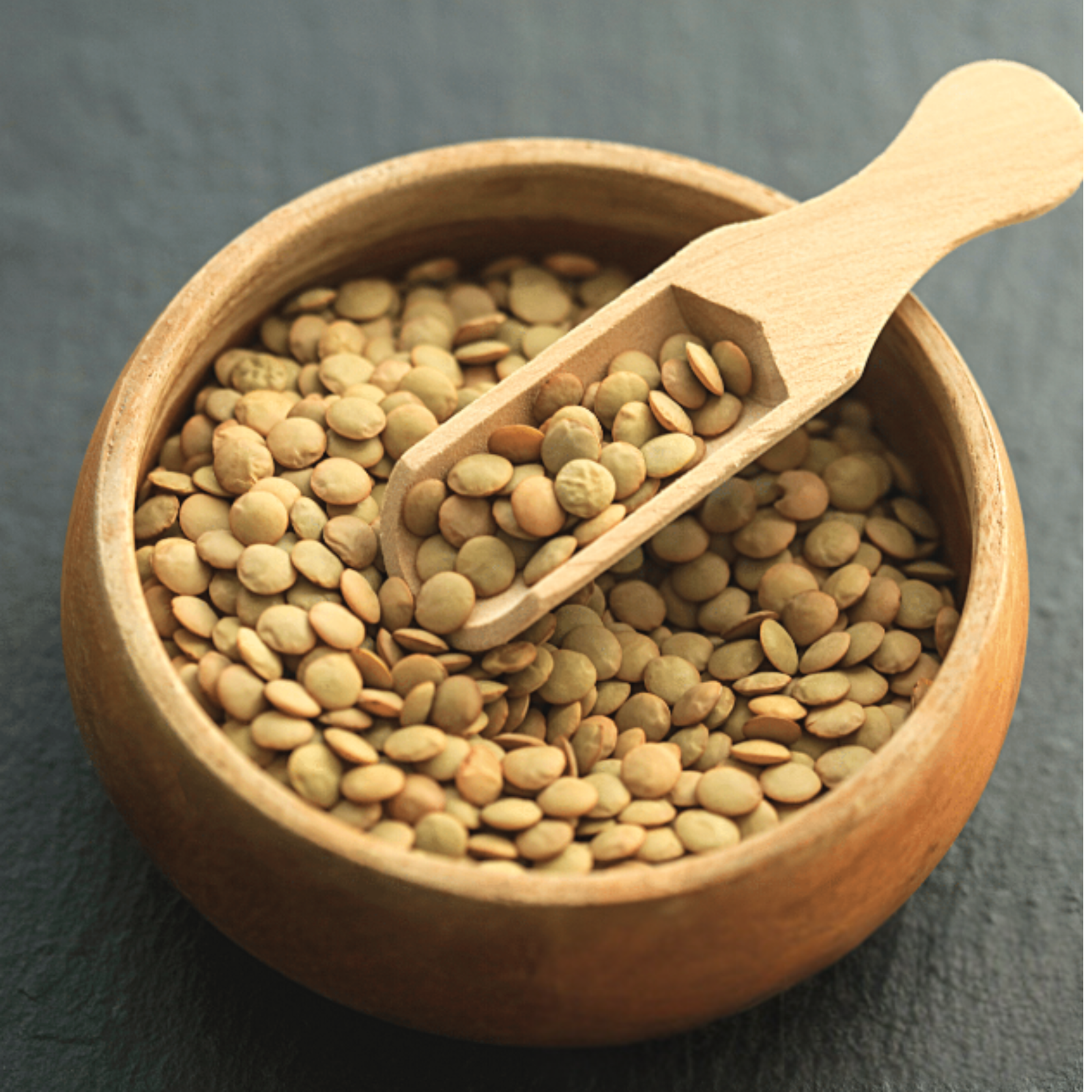 Green Lentil Organic Heirloom Sprouting Seeds (8oz Pouch)