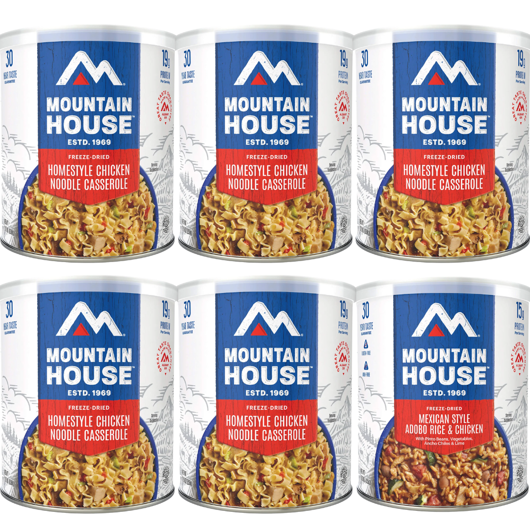 Freeze-Dried Homestyle Chicken Noodle Casserole Can - Mountain House