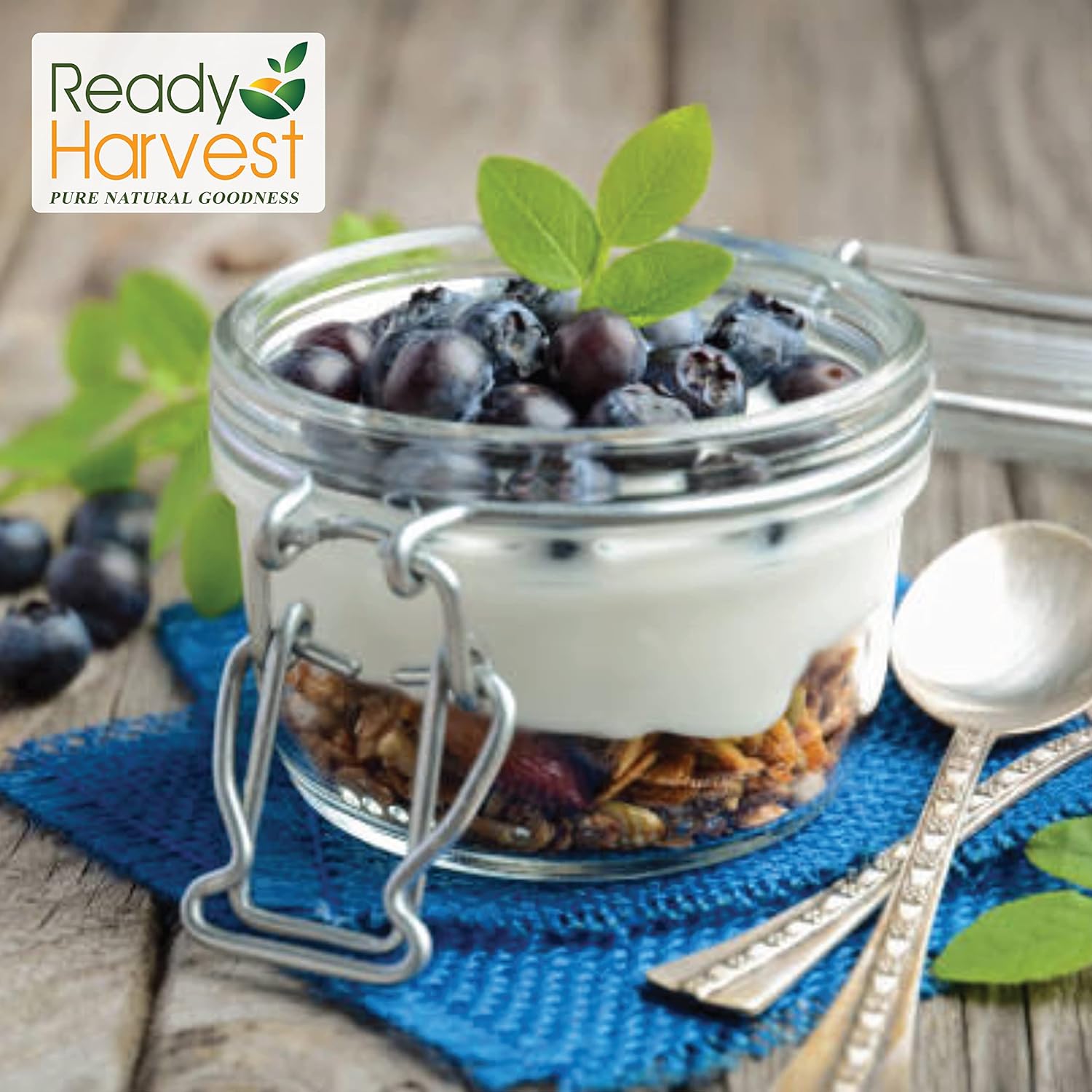 Ready Harvest Freeze-Dried Whole Blueberries (30-Year Shelf Life)