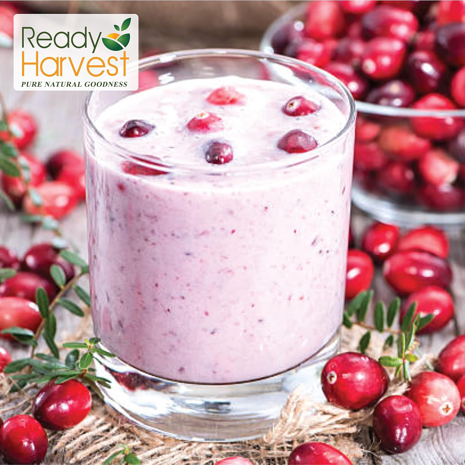 Ready Harvest Freeze-Dried Cranberries (30-Year Shelf Life)