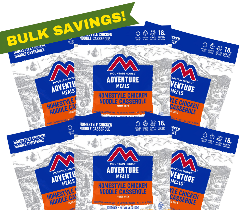 Freeze-Dried Homestyle Chicken Noodle Casserole Pouch - Mountain House