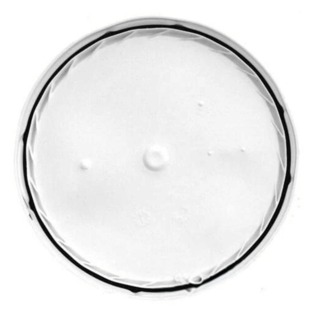 White Gasket Lid - 5 Gallon Bucket - Food Grade, Thick, Durable and Water-Tight