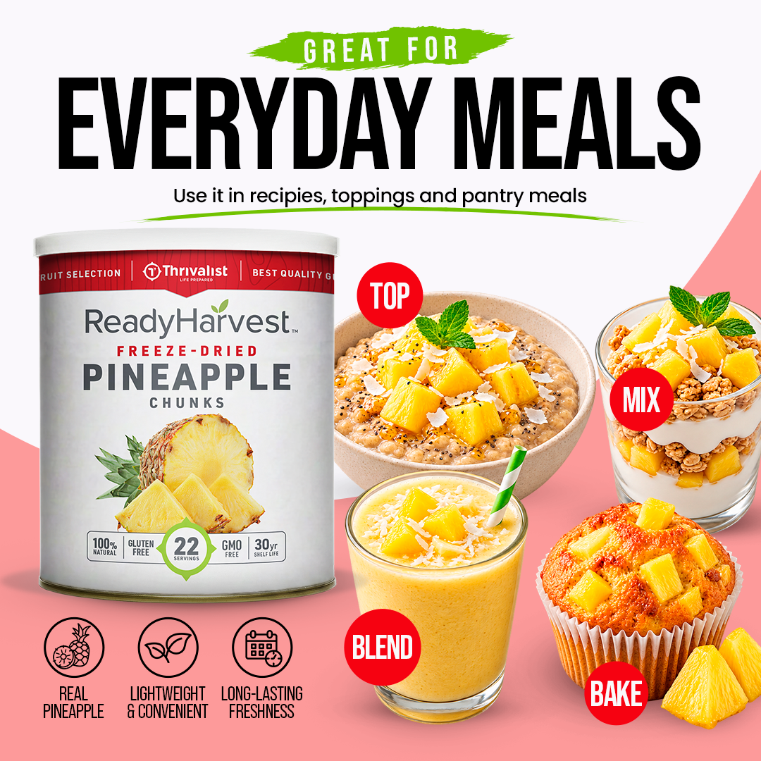 Ready Harvest Freeze-Dried Pineapple Chunks (30-Year Shelf Life)