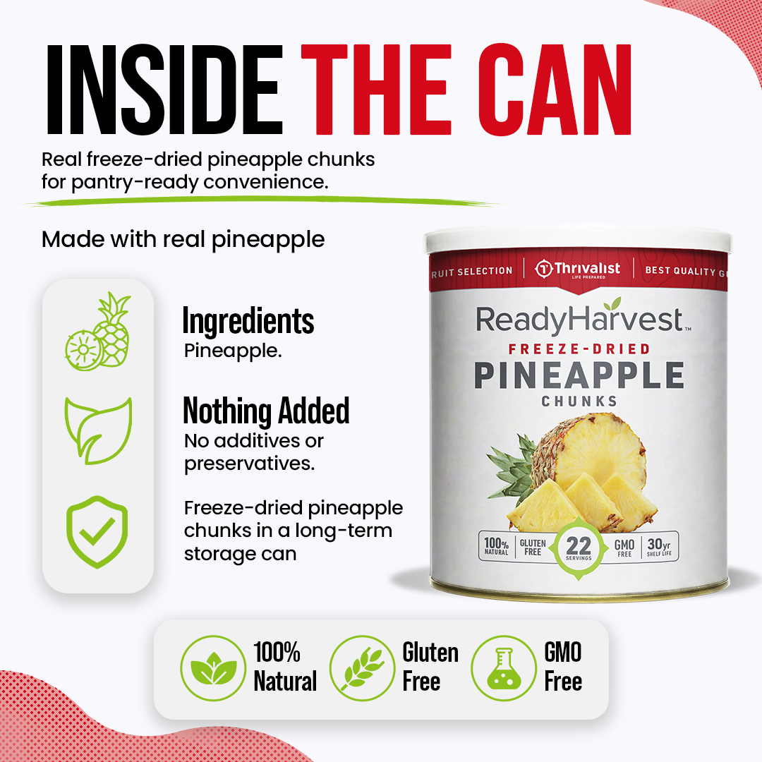 Ready Harvest Freeze-Dried Pineapple Chunks (30-Year Shelf Life)