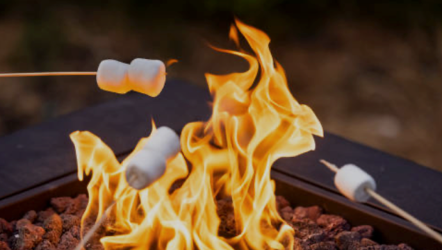 S'mores Freeze-Dried Sweet Treat - Snacks Pouch