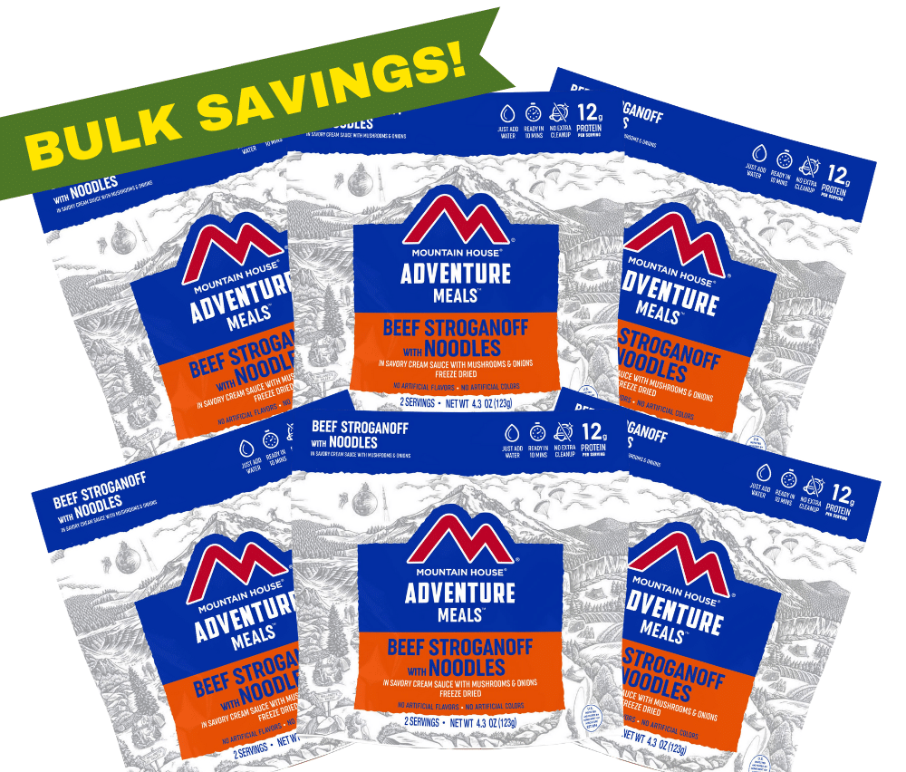 Freeze-Dried Beef Stroganoff Pouch - Mountain House