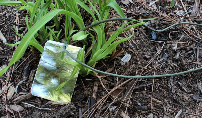 Two-Sided Stainless Steel Shatterproof Signaling Mirror