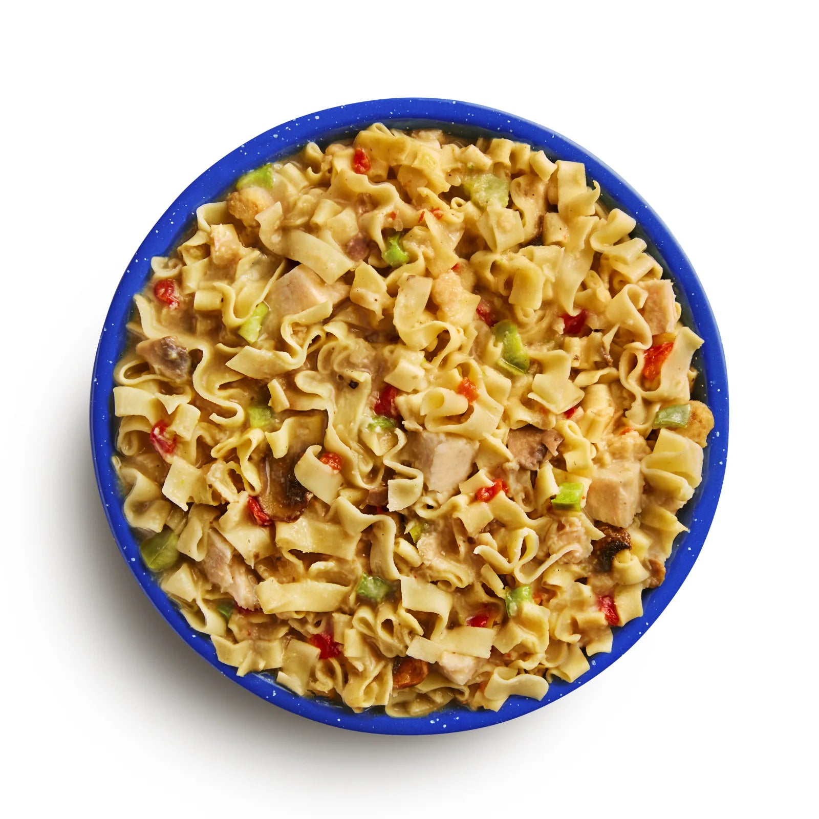 Freeze-Dried Homestyle Chicken Noodle Casserole Pouch - Mountain House